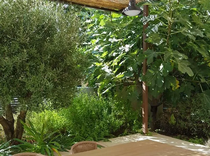 L'accent D'ici Le Somail